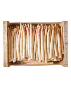 (FR) White Asparagus Size 16/22 (5 kg/box)