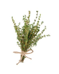 ไทม์ Thyme