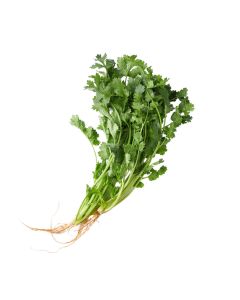 ผักชีไทย Coriander