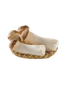 เห็ดออรินจิ Erinji Mushroom