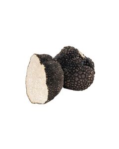 (SP) Black Summer Truffle Size 8-15 g