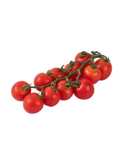 มะเขือเชอรี่พวง Tomato Cherry Vine