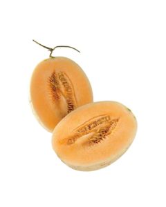 แคนตาลูป Cantaloupe