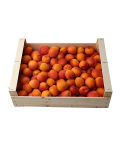 (FR) Apricot