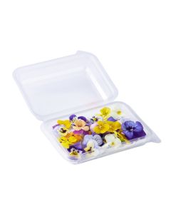 ดอกไวโอลา Viola Flower